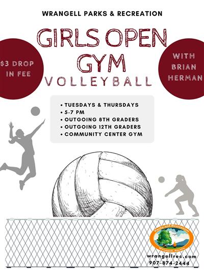 open gym  volleyball